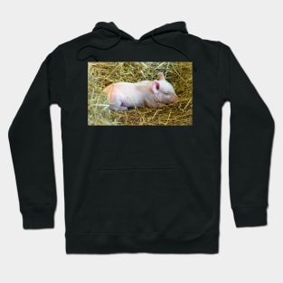 Drowsy Piglet Hoodie